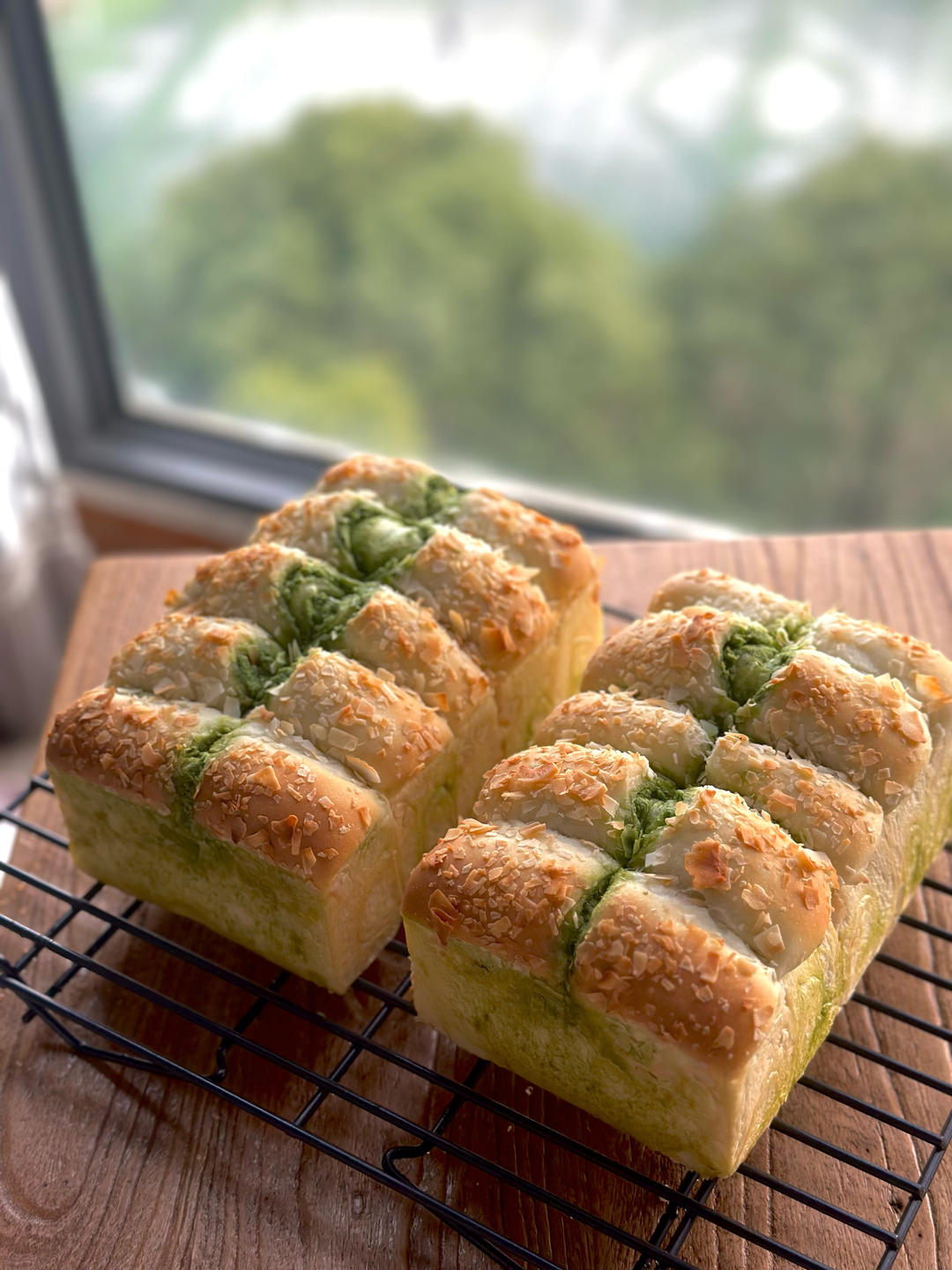 抹茶奶酥小金砖（70%中种吐司）