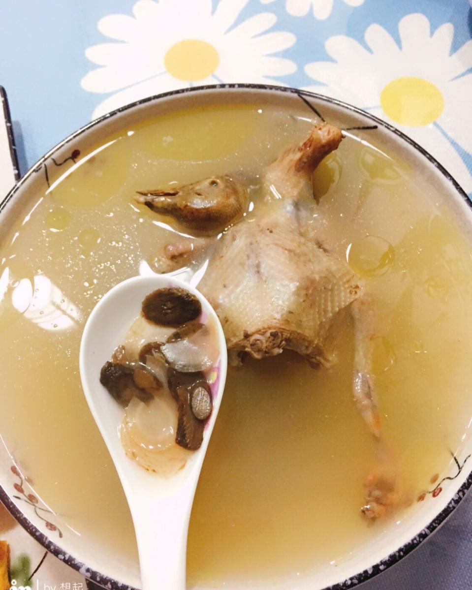 西洋参老鸽汤