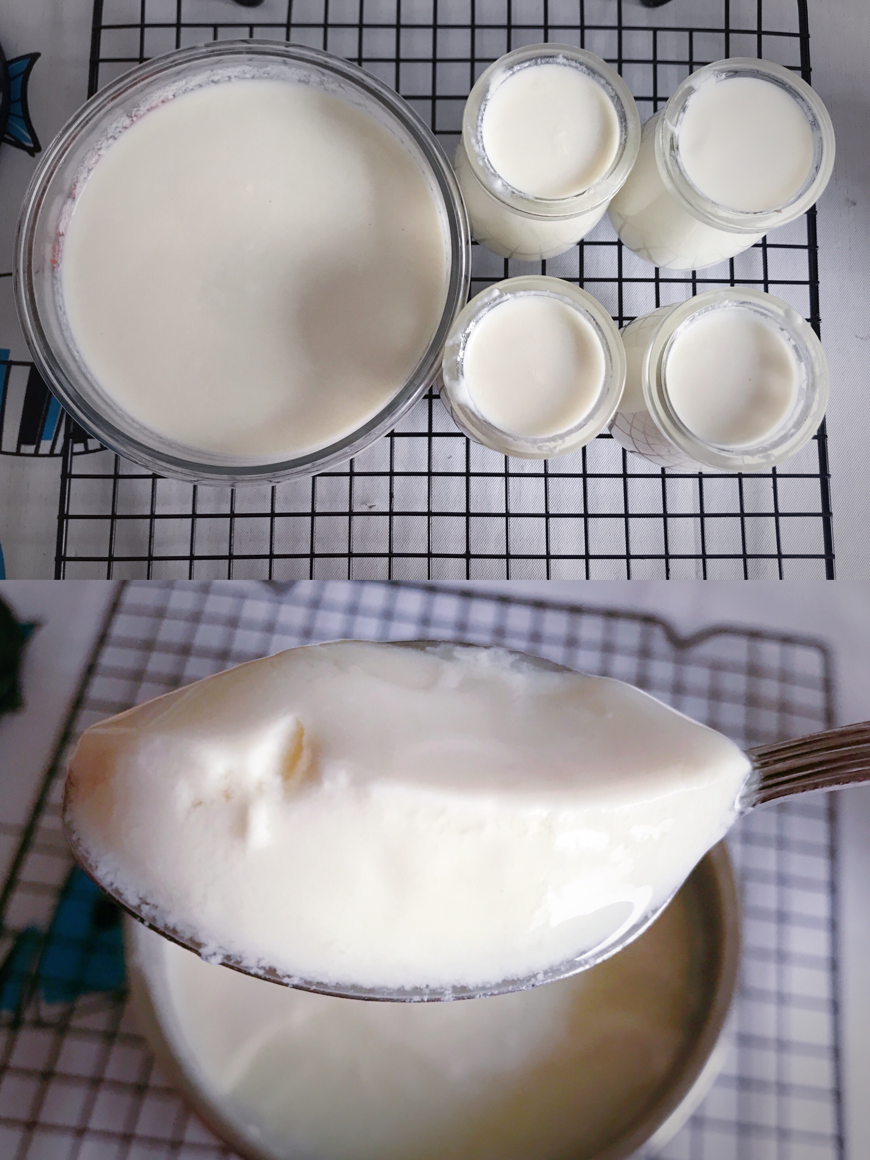 自制酸奶——奶粉版