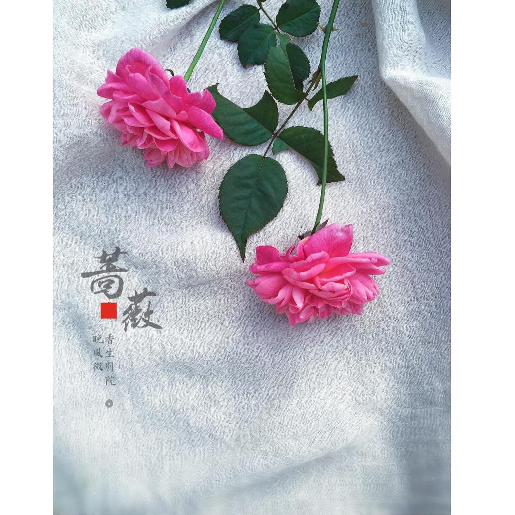 厨娘的花样show
