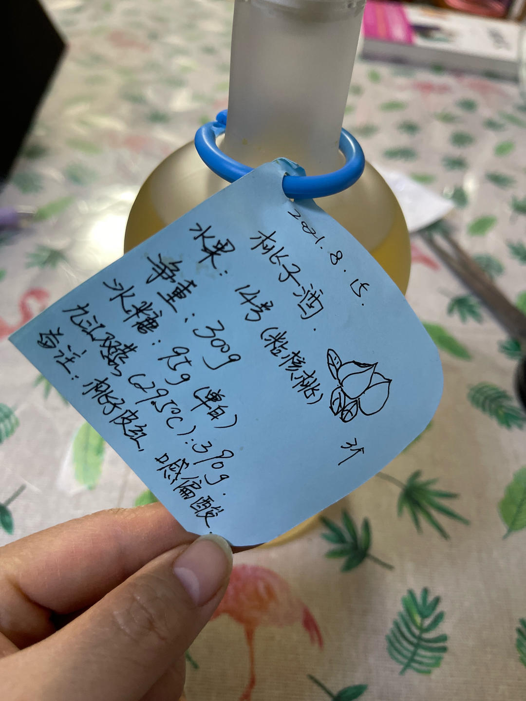 桃子果酒-酒浸（14号粘核）