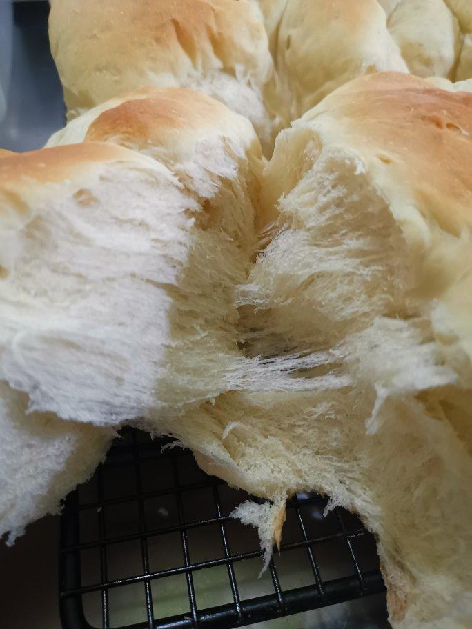 【爱和自由】老面包