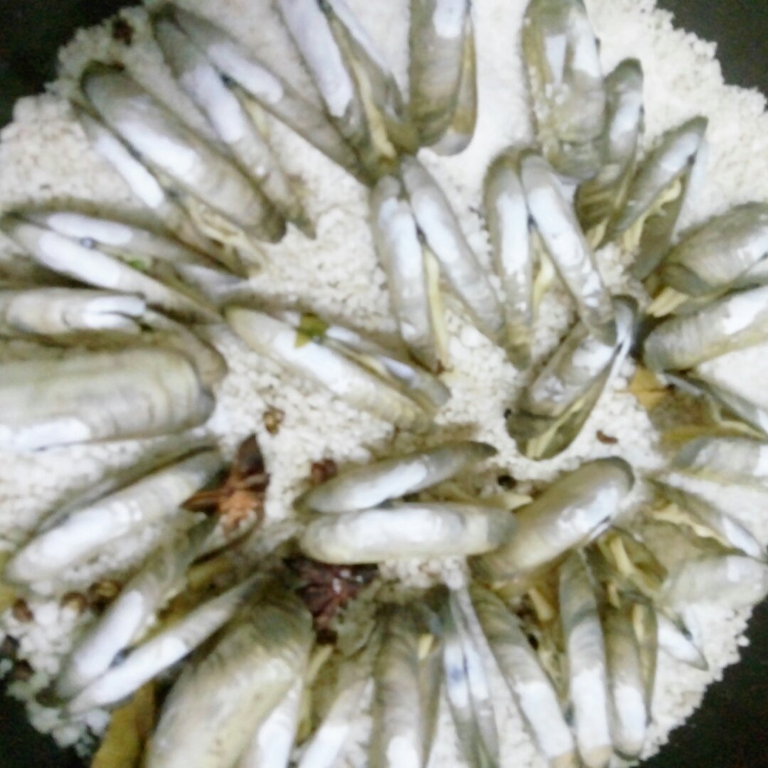 盐焗蛏子