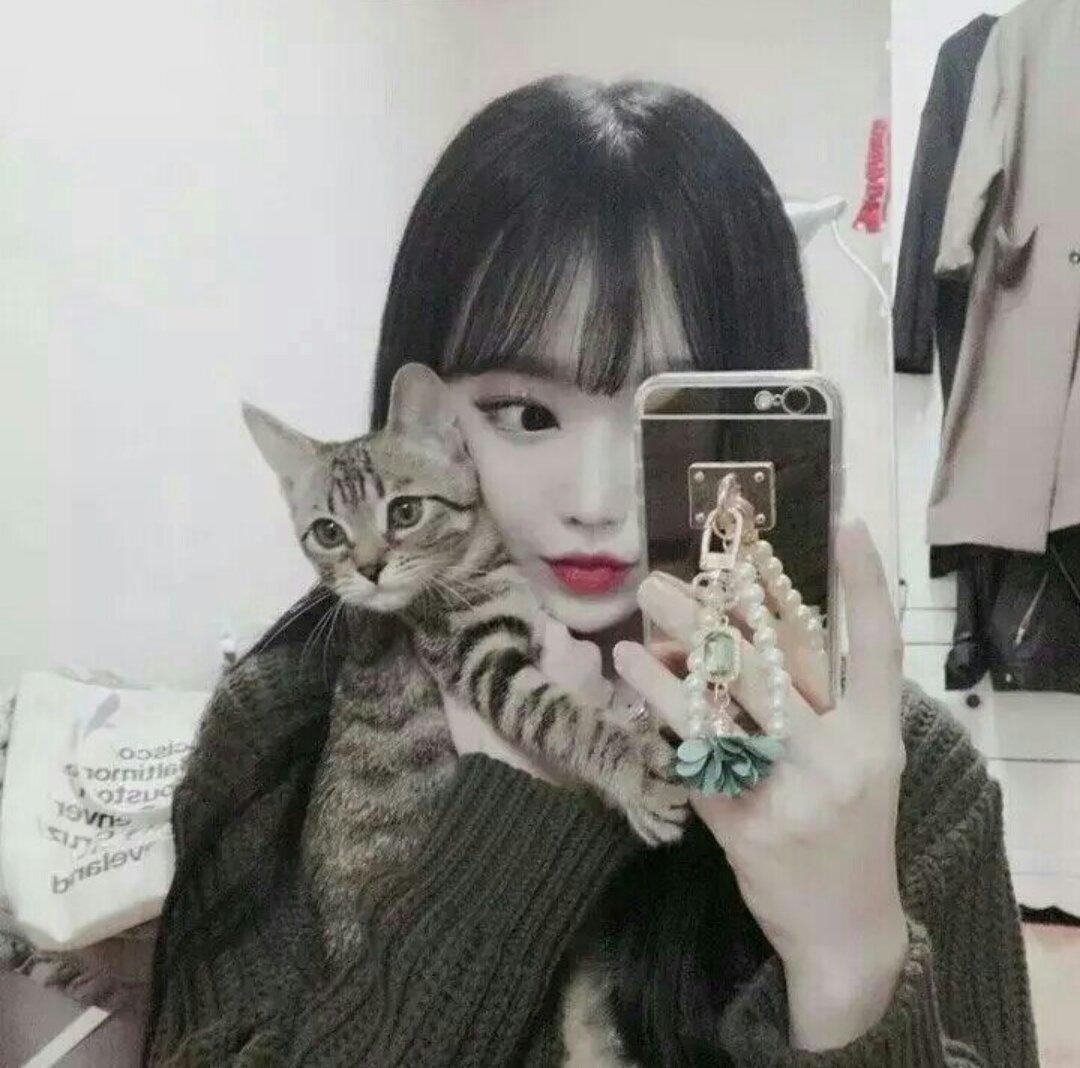 爱吃蛋糕的猫咪_5pym