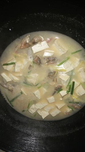 小红斑（石翁鱼）豆腐汤的做法 步骤12
