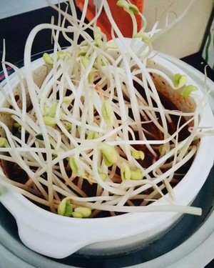 电炖锅之丸子火锅的做法步骤图 怎么做好吃 胖米虫阿多 下厨房 电炖锅之丸子火锅的做法步骤图 怎么做好吃 胖米虫阿多 下厨房