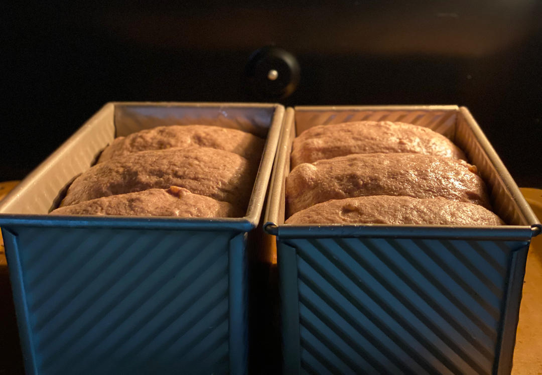 全麦吐司（50%全麦含量）低卡，低热量