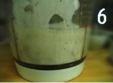自制红枣酸奶的做法 步骤14