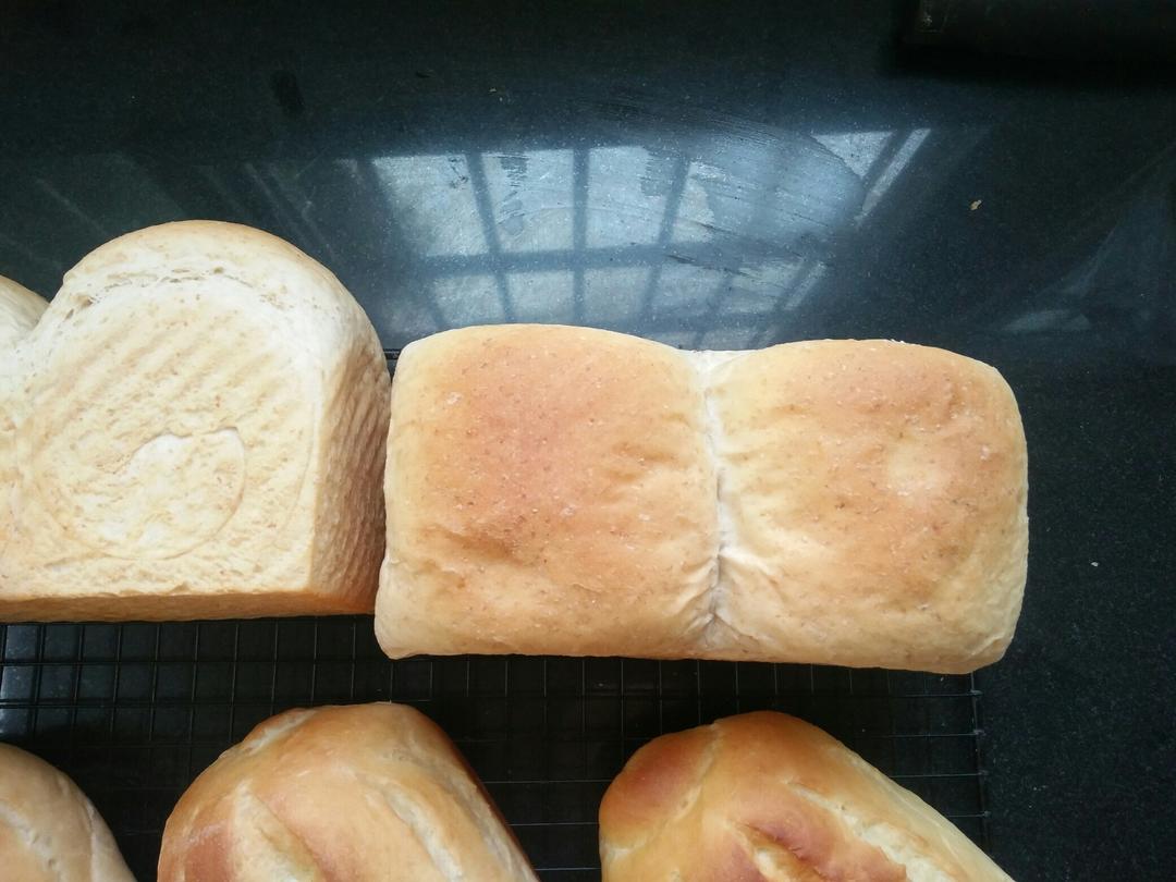 全麦核桃蔓越莓欧包（附整形详细手法）