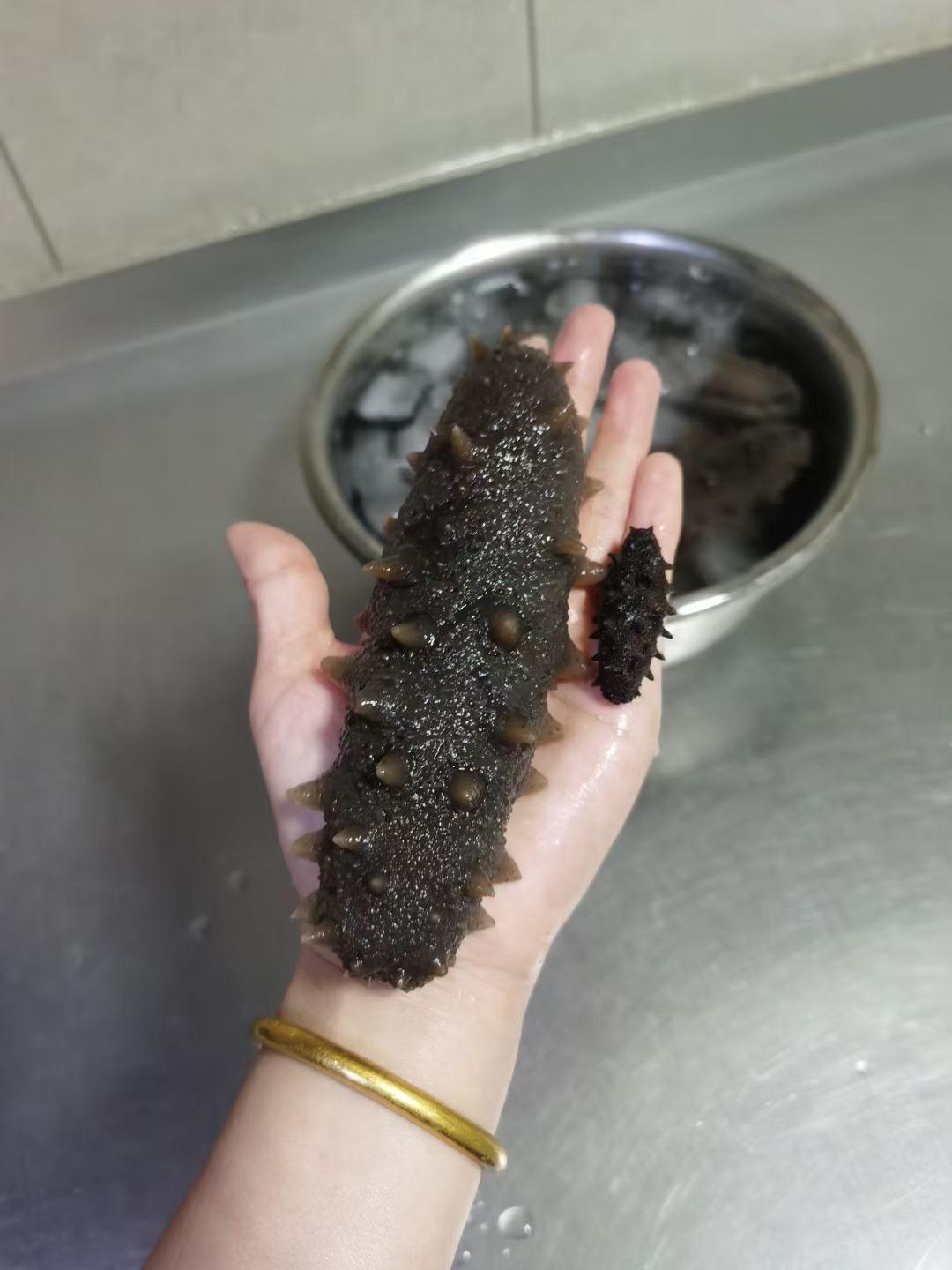 我的生活剧