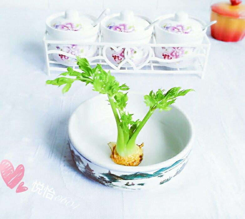步骤图 菜根菜心重生记的做法 菜根菜心重生记的做法步骤 高分菜谱 下厨房