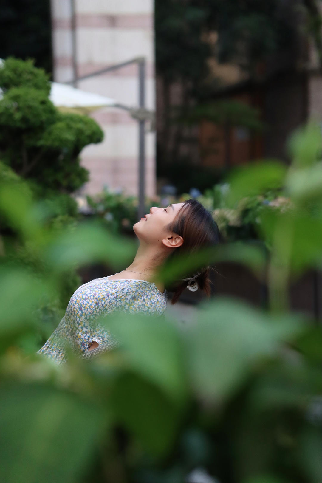 听雨秋月