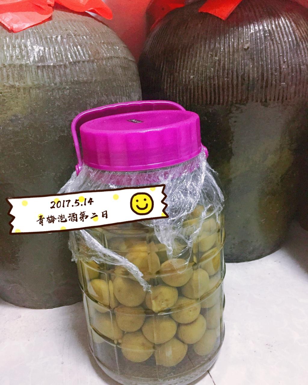 【青梅酒】梅子的沉醉时光（已填坑）
