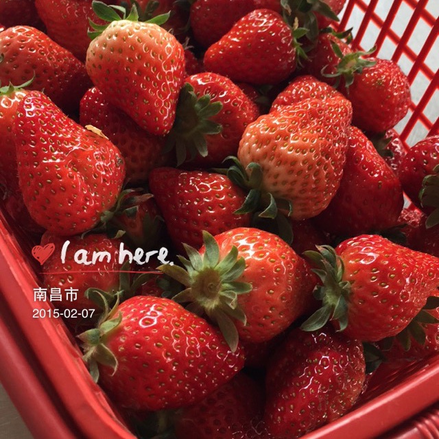 今冬第一颗草莓