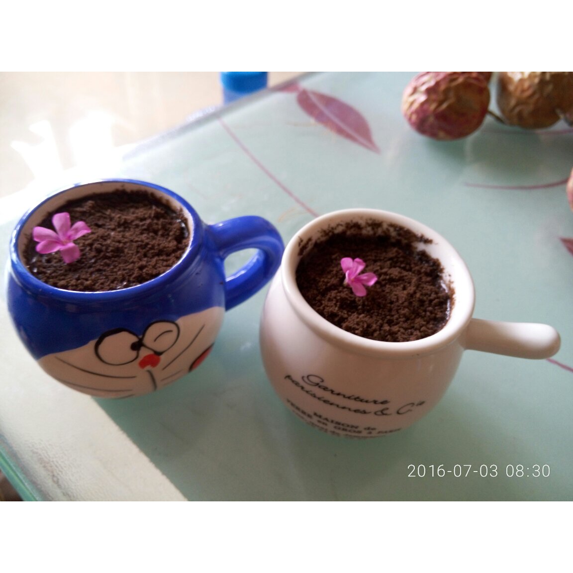 盆栽酸奶