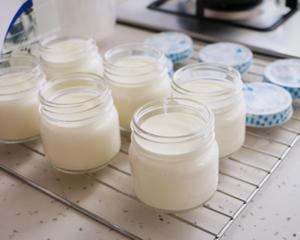 自制酸奶的做法 步骤9