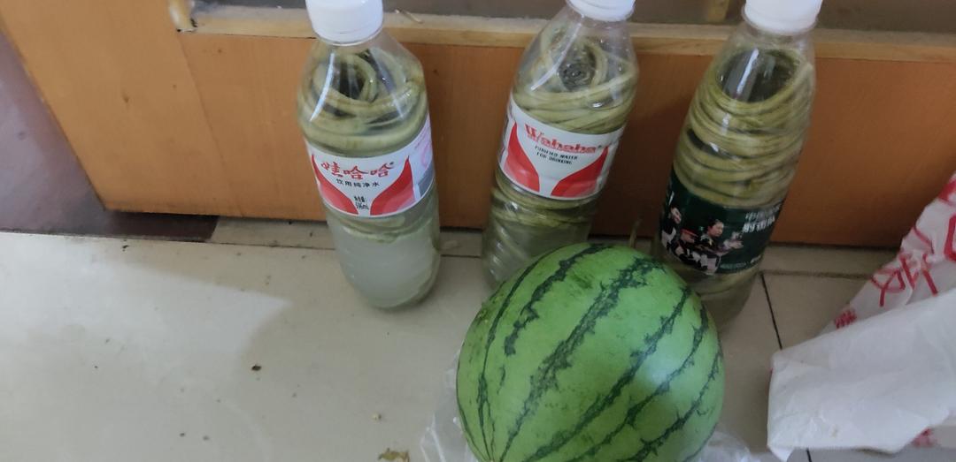 最简单的酸豆角