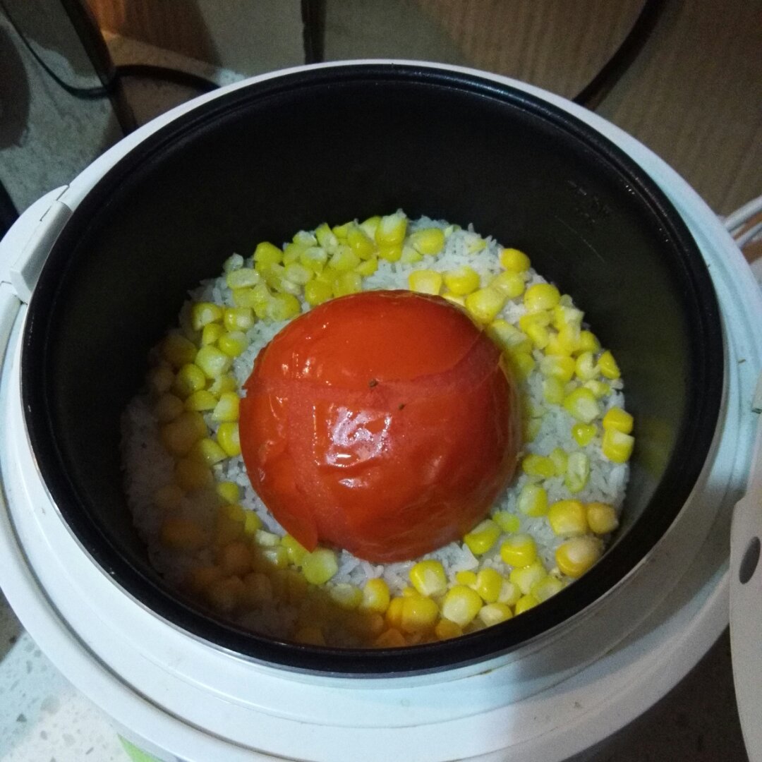 一只番茄饭
