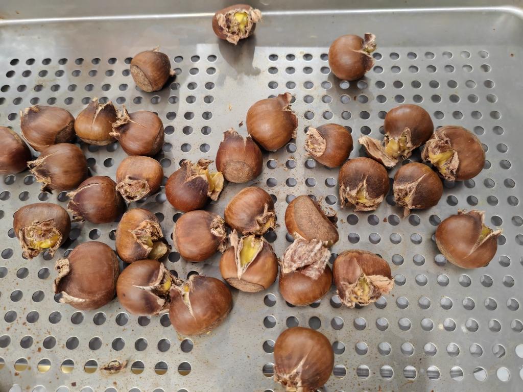 教你做出既不粘手又好剥皮的板栗，超级简单美味