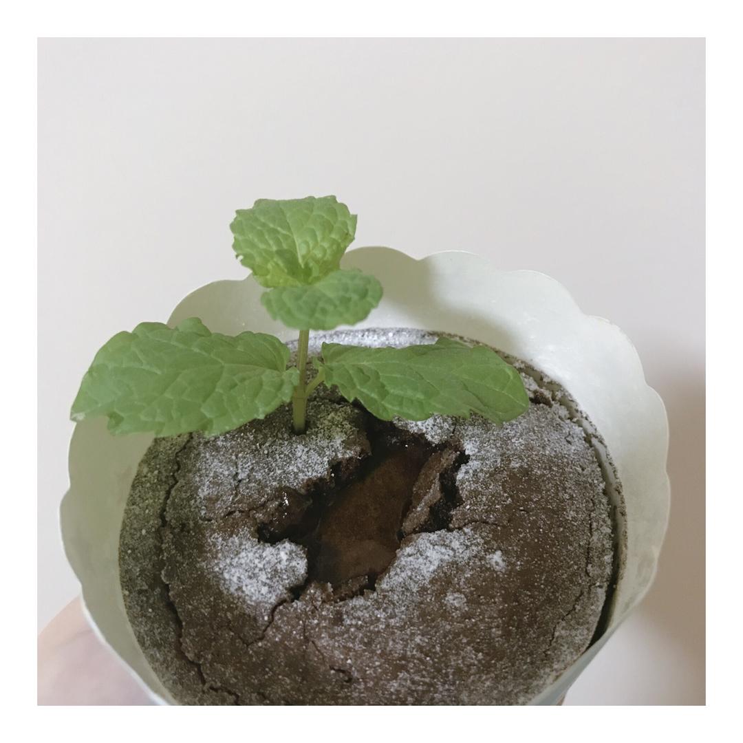 巧克力熔岩蛋糕(全图文超简单)