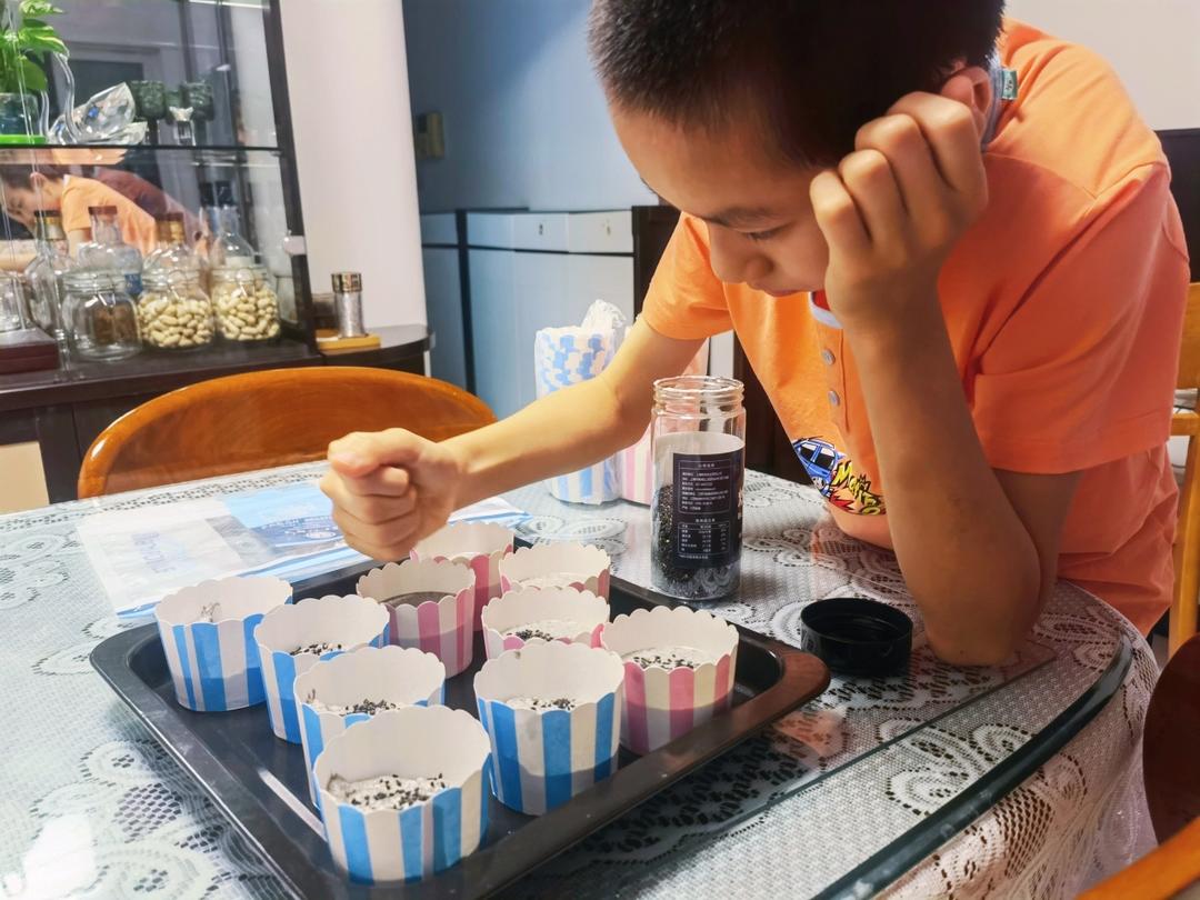 黑芝麻糯米糕，做法超简单