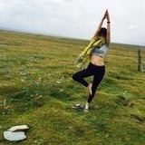 乒乓少年董毡毡