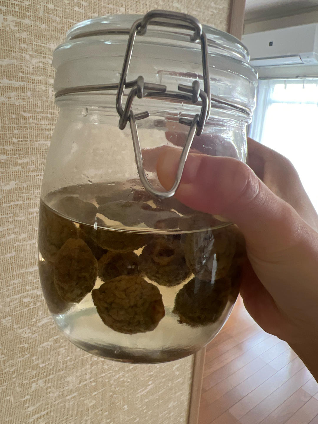青梅露，酿梅子露过程记录(不起泡不发酵)
