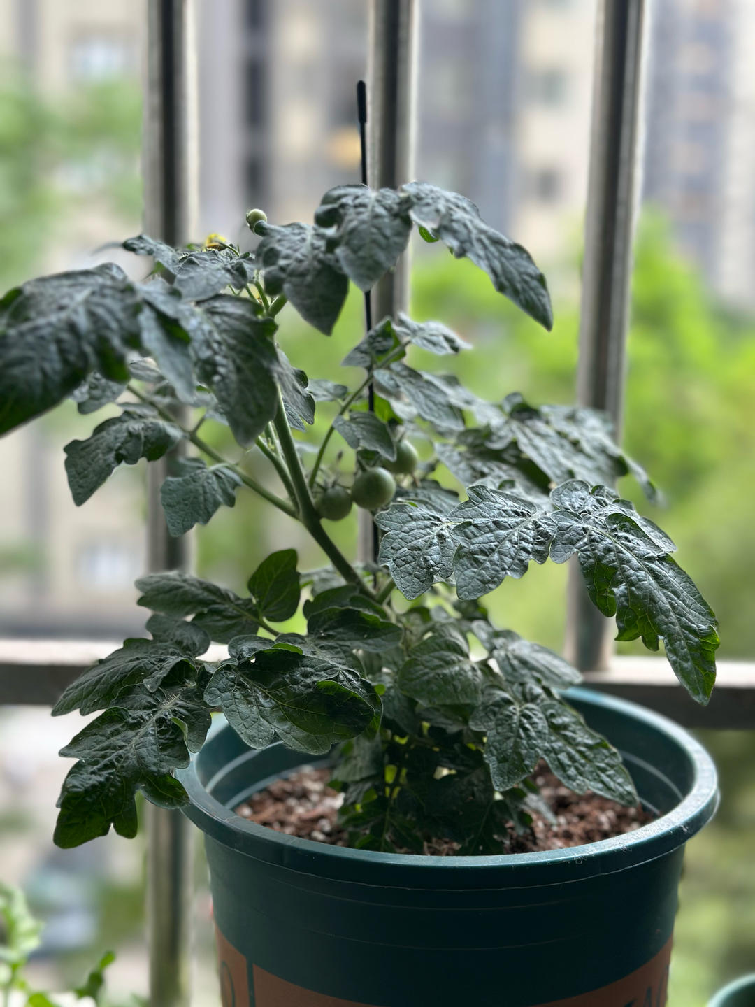 是一勺掌四季呀