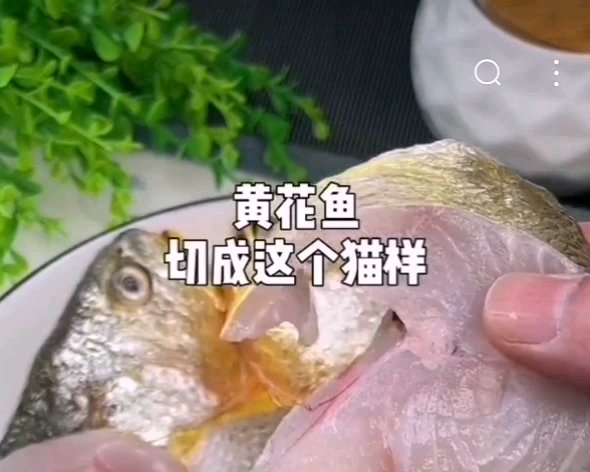 砂锅鱼
