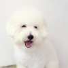 清清toto