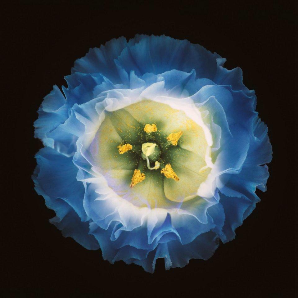 梨梨力力果果的厨房