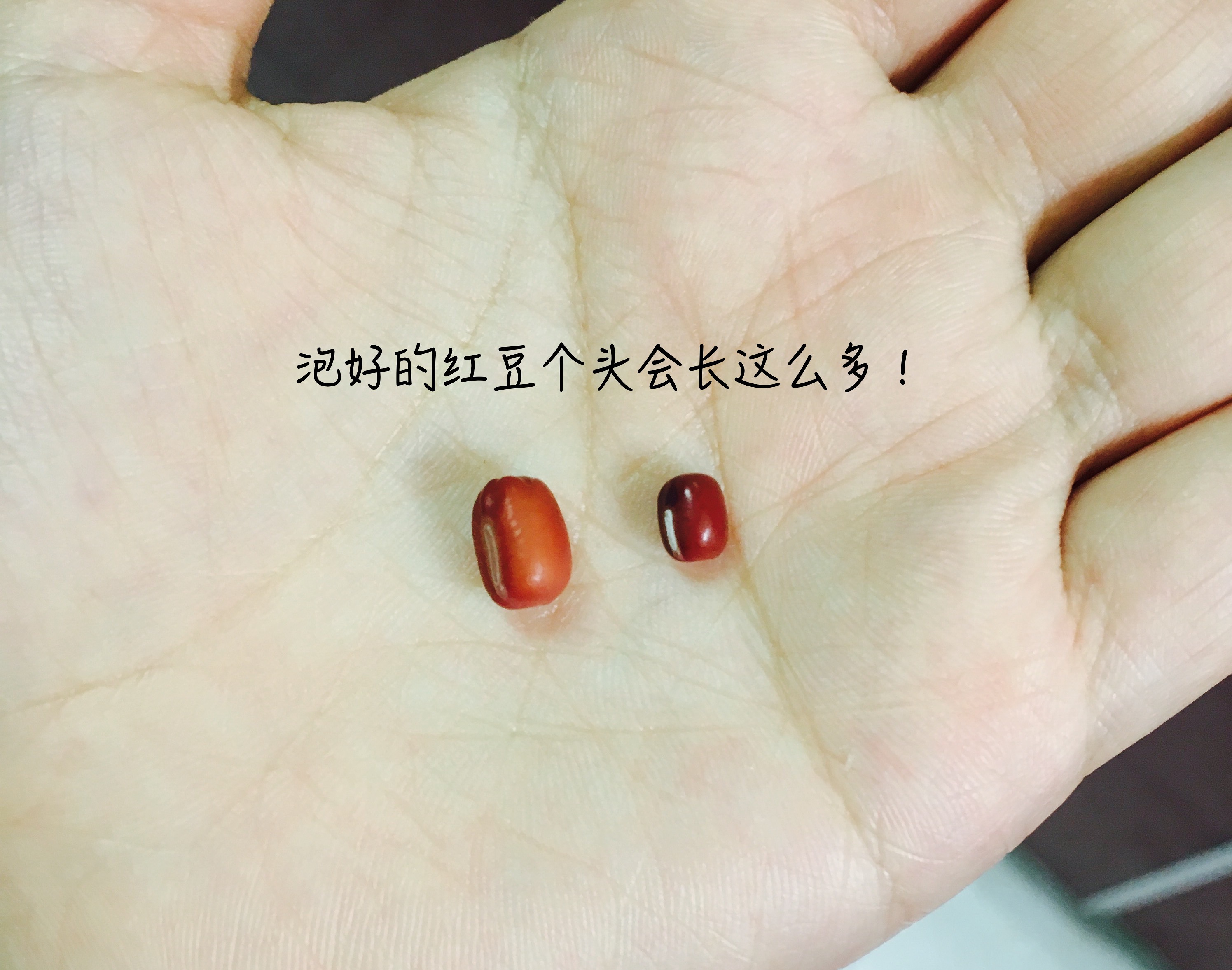 减肥餐-红豆薏仁山药糕的做法 步骤1