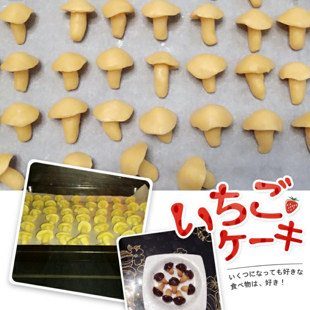 蘑菇力饼干