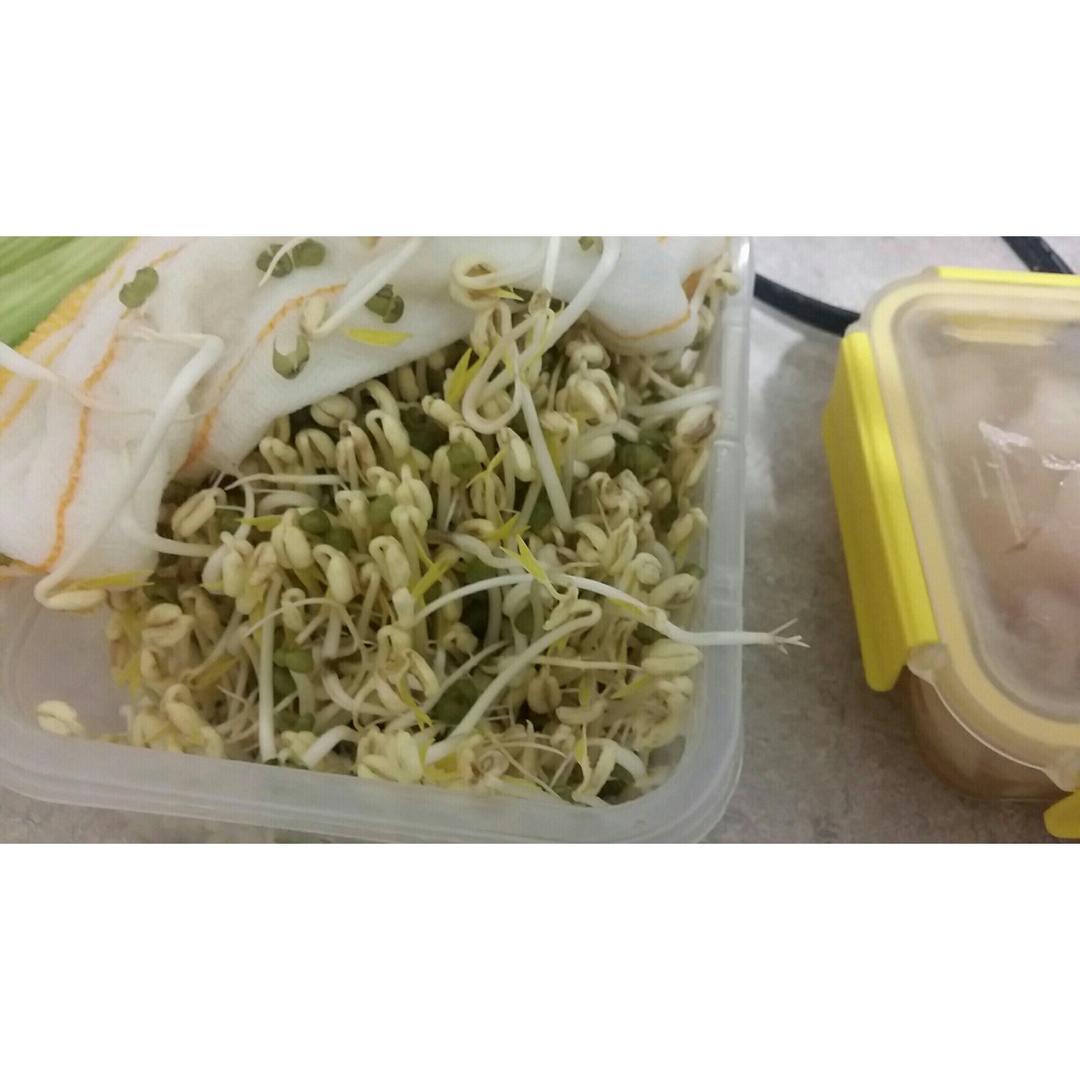 韭菜鸡蛋炒豆芽