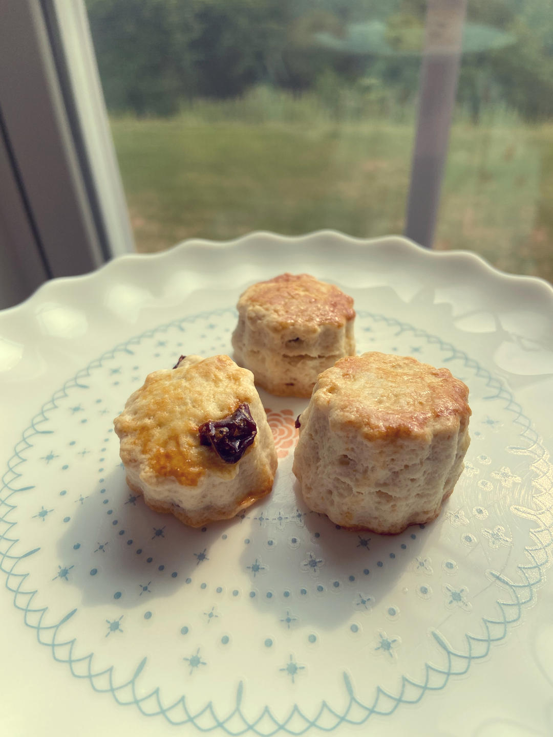 简单的淡奶油司康