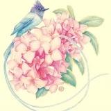 丁丁爱吃鱼和虾