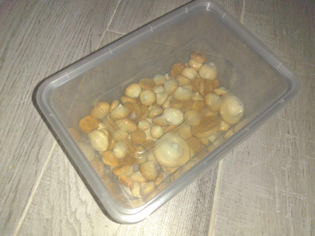 棉花糖味的蛋白糖~