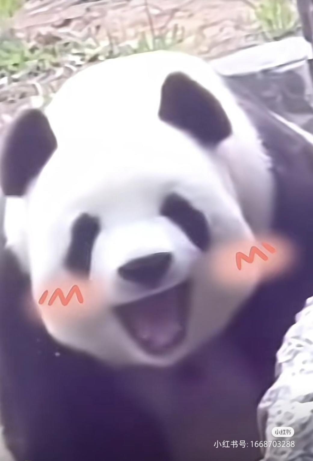 小雨妍妍妍