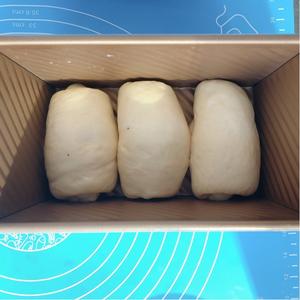 【原创】消耗雀巢淡奶油―北海道吐司面包（中种法）的做法 步骤13