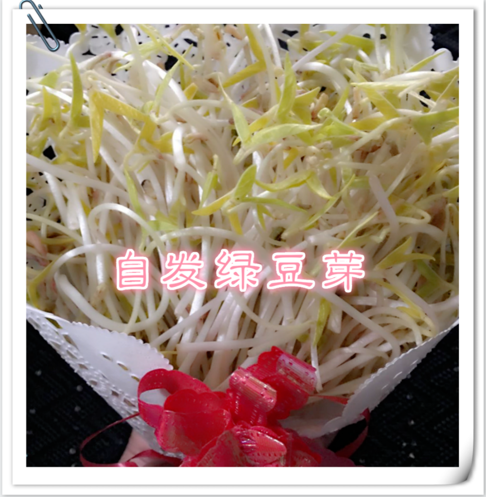 自发绿豆芽~宅客解锁新技能