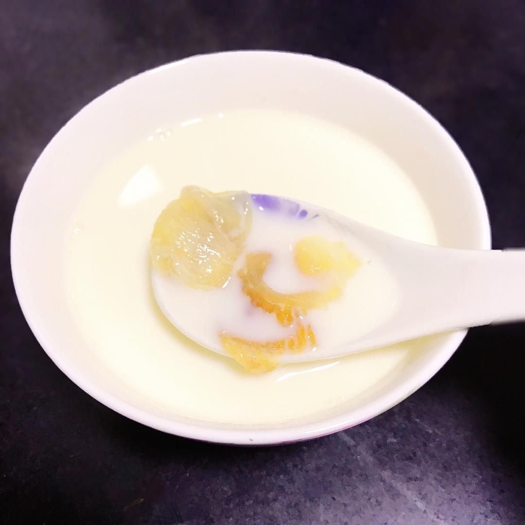 牛奶炖花胶