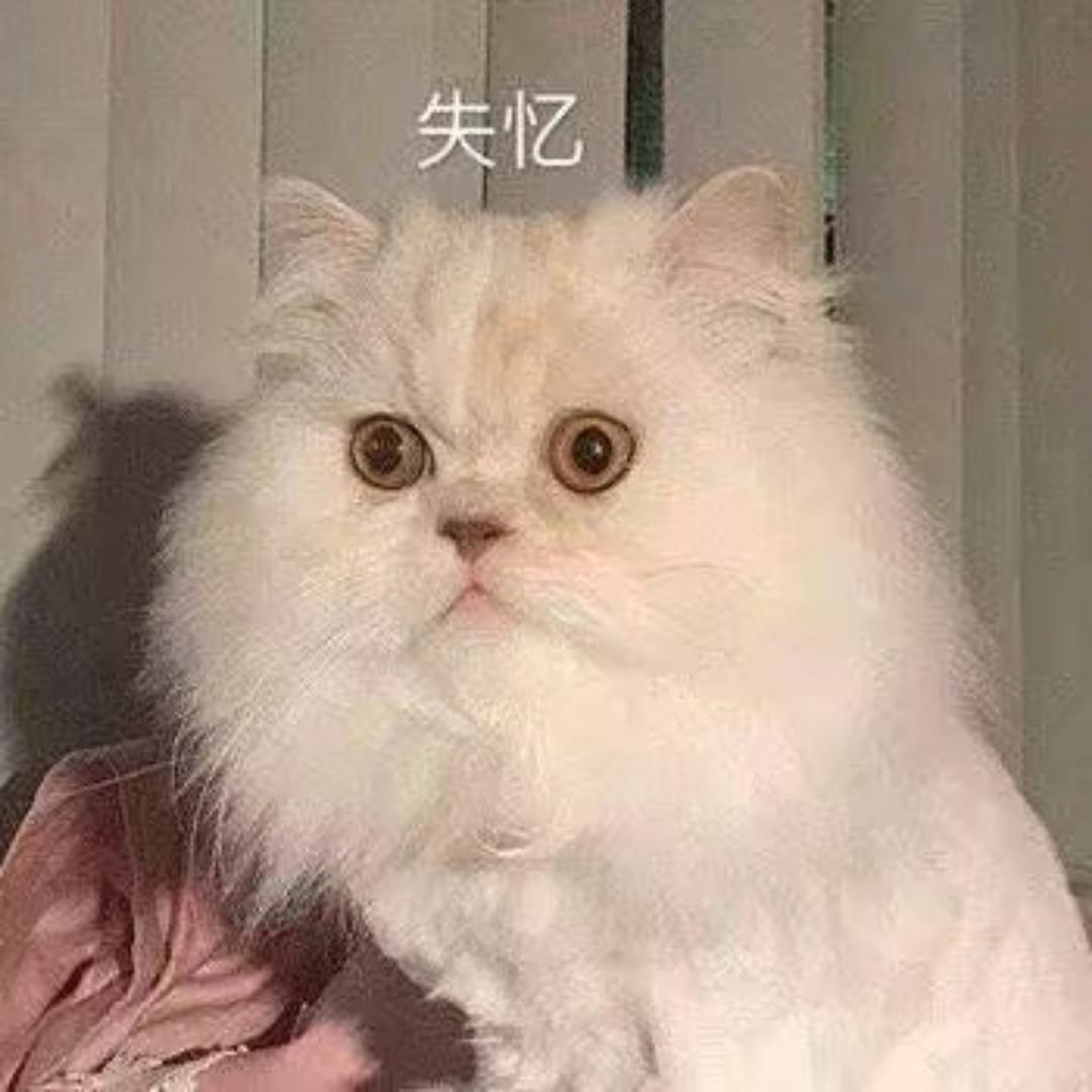 什么时候下班啊QAQ的厨房