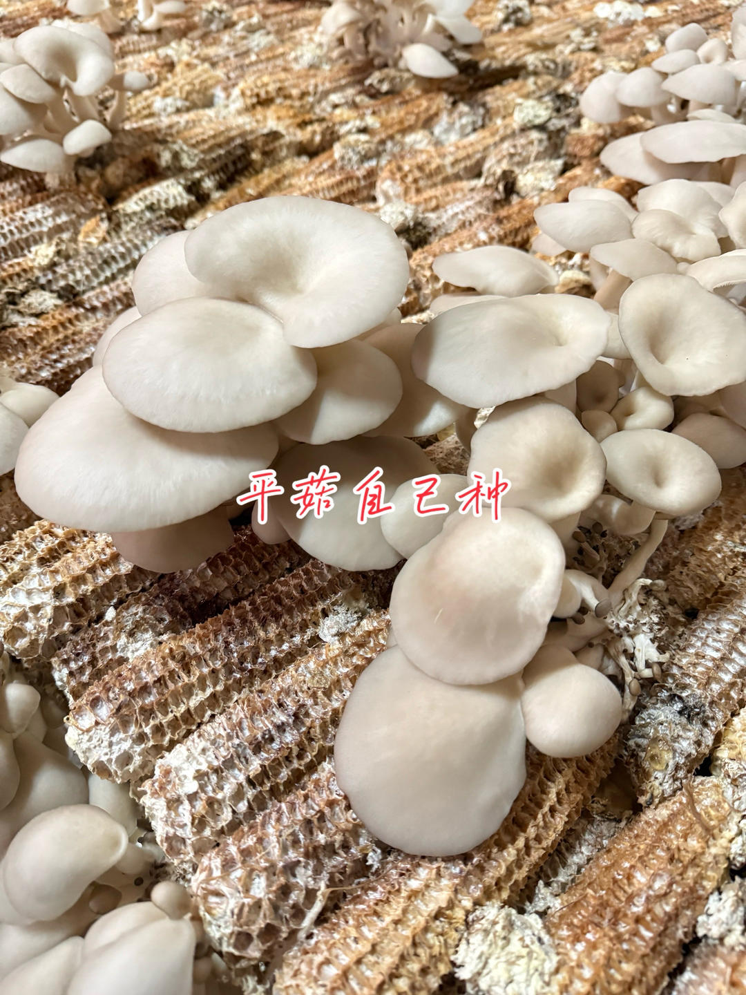 2025重新启航⛵️